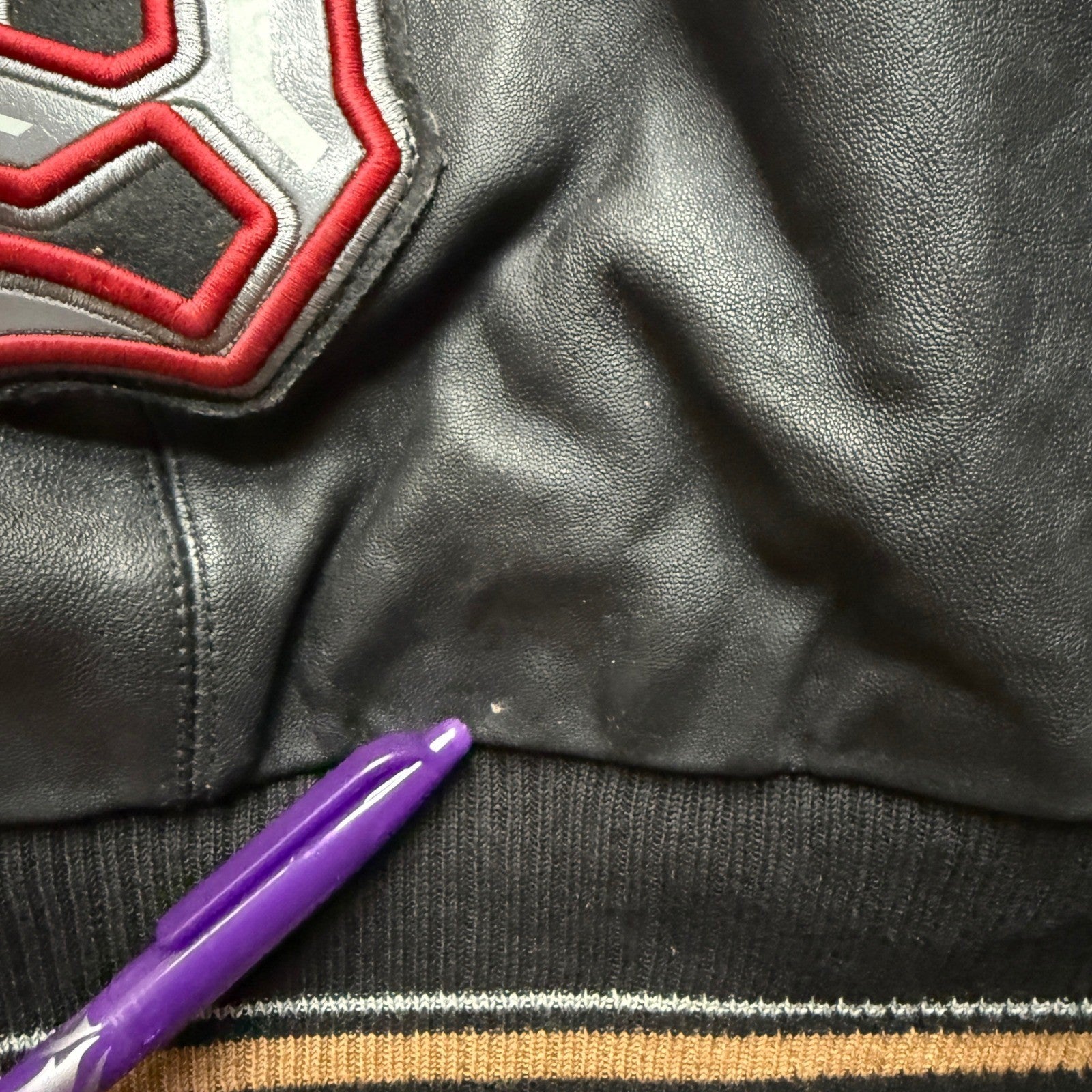 Extasy James & John Leather Bomber Jacket 4XL Tiger Eagle Embroidered RARE Vtg