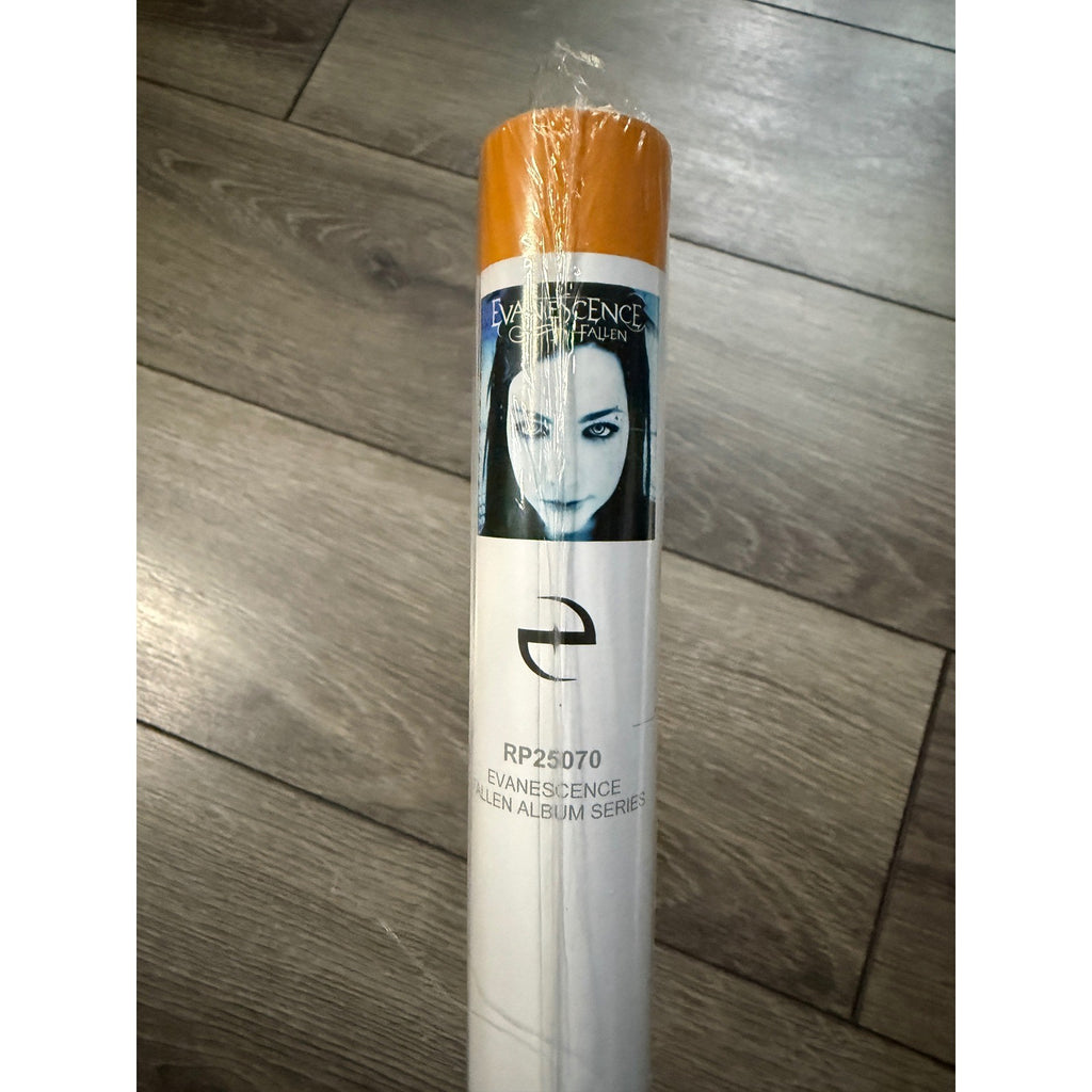 Evanescence Fallen Album Series Poster RP25070 Amy Lee Rock Band Merch New